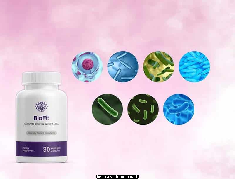 BIOFIT