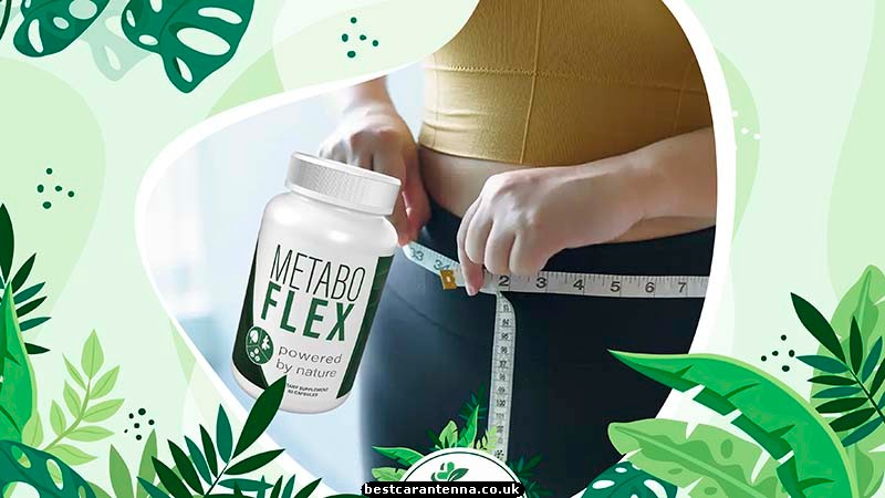 Metabo Flex